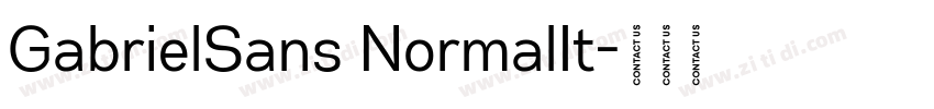 GabrielSans NormalIt字体转换